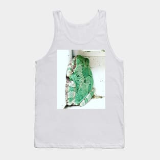 Sleeping Tree Frog Tank Top